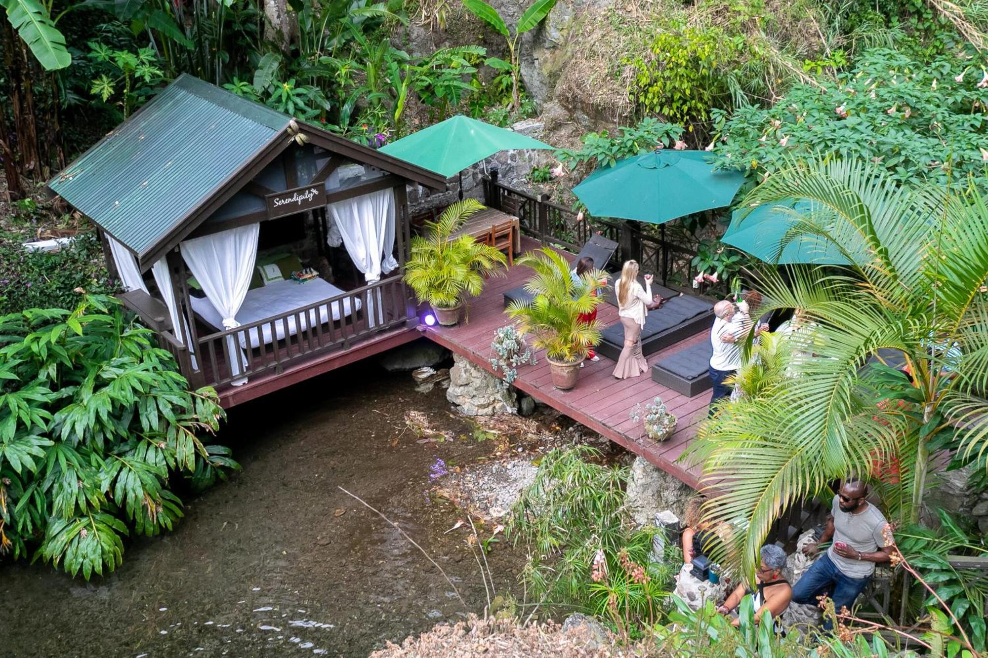Serendipity Holistic Resort Spa Kingston Extérieur photo